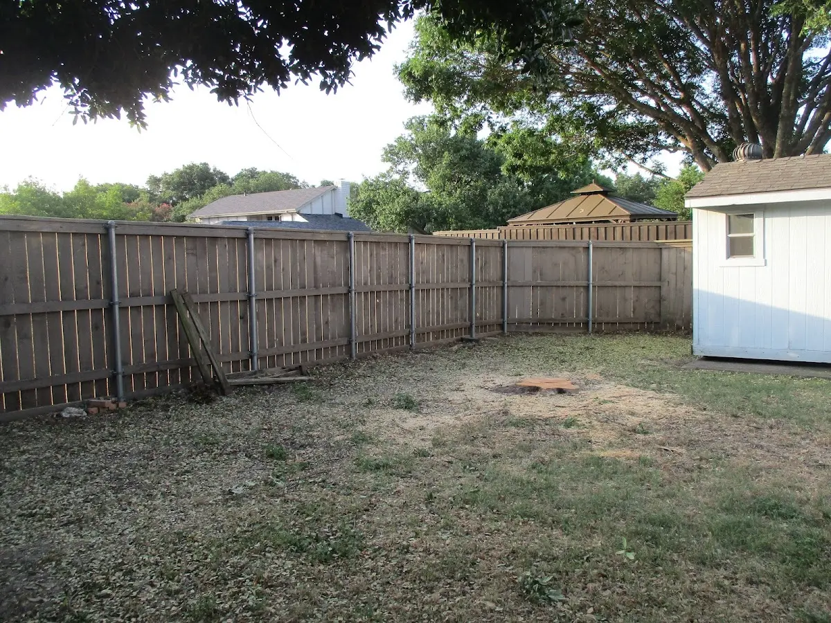 Cleared yard after professional tree removal in Story City